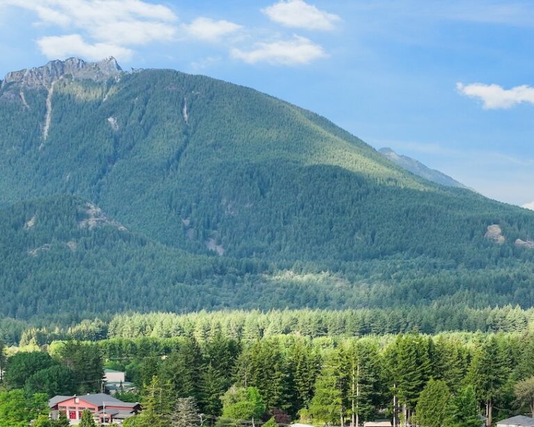 A panoramic view of a forested valley before a towering mountain under a partly cloudy sky, with buildings peeking through the canopy.